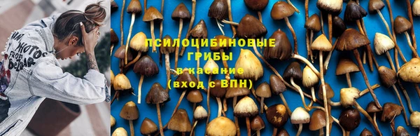 винт Верхний Тагил