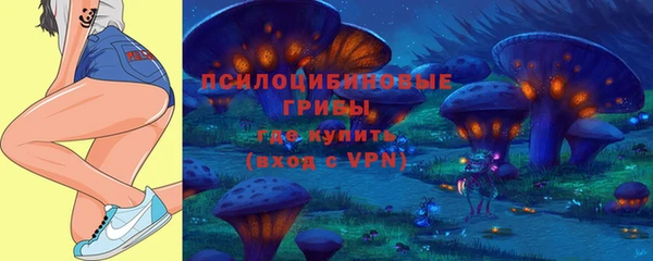 винт Верхний Тагил