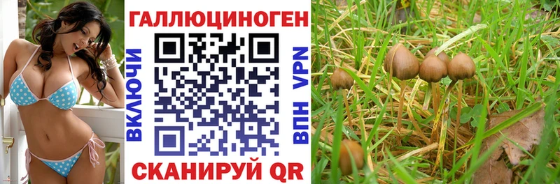 Галлюциногенные грибы Psilocybine cubensis  Купить закладки  Алексеевка 
