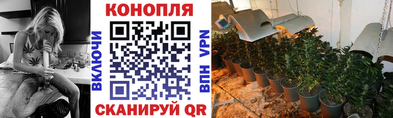 Бошки Шишки марихуана  Купить закладки  Алексеевка 
